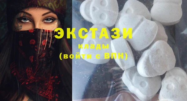 стаф Новокубанск