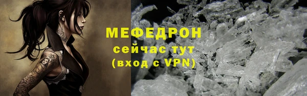сатива Няндома