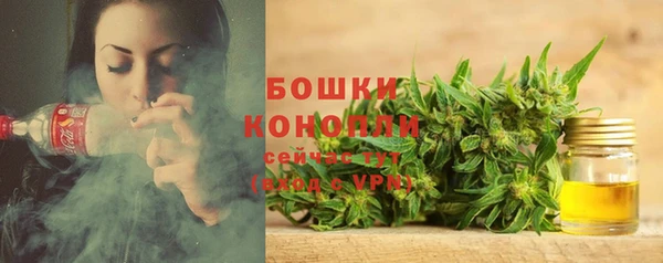 тгк Новозыбков
