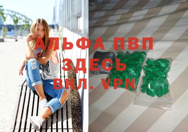 стаф Новокубанск