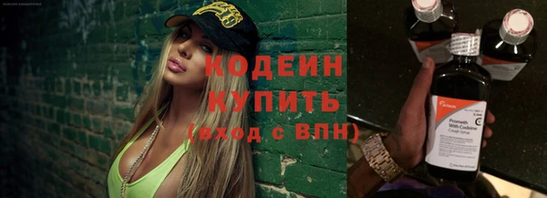 шишки Новодвинск