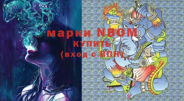 тгк Новозыбков