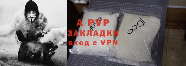 стаф Новокубанск