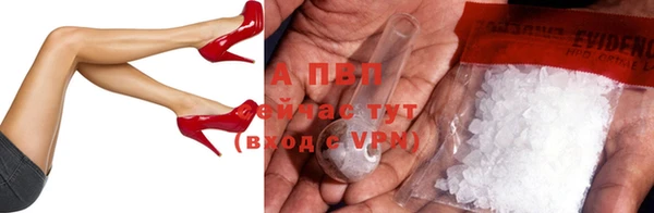 тгк Новозыбков