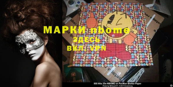 сатива Няндома