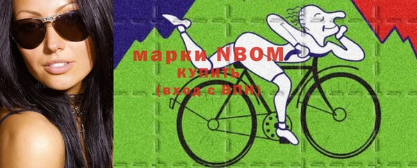 сатива Няндома