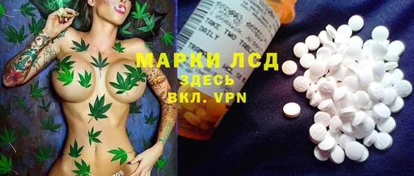 стаф Новокубанск