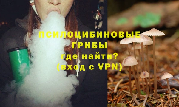 сатива Няндома