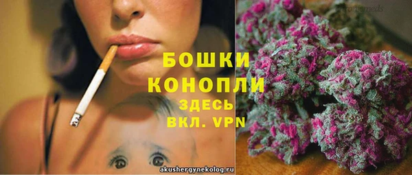 стаф Новокубанск