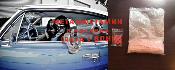шишки Новодвинск