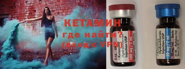 шишки Новодвинск