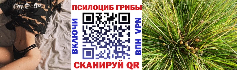Псилоцибиновые грибы GOLDEN TEACHER  Лихославль 
